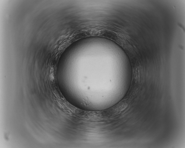 X0000100370962200806201624