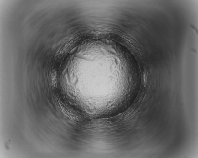 X0000100370963200806201624