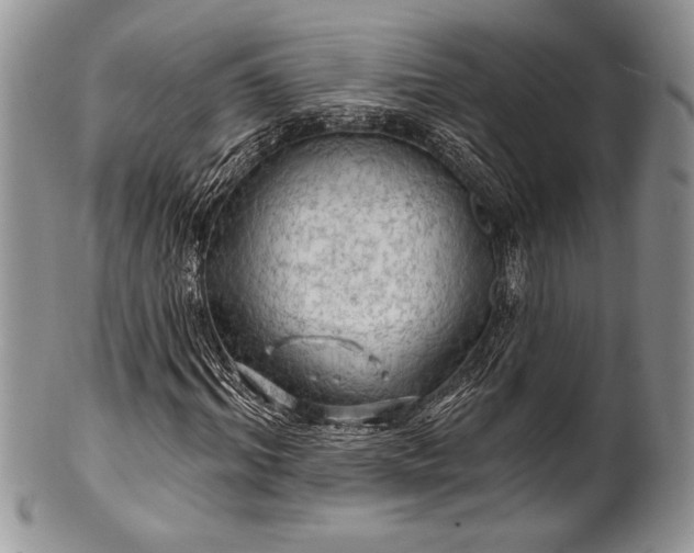 X0000100370964200806201624