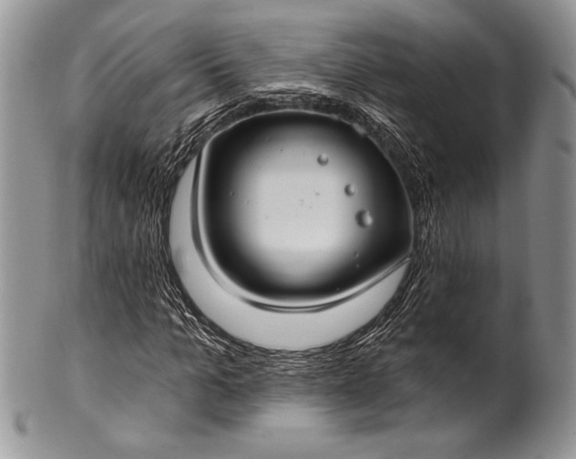 X0000100370965200806201624