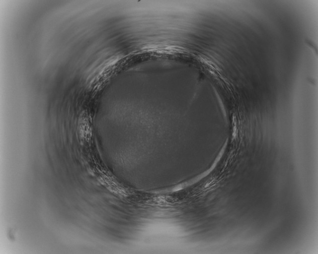 X0000100370966200806201624