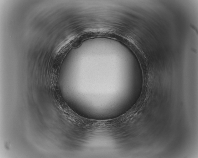 X0000100370967200806201624