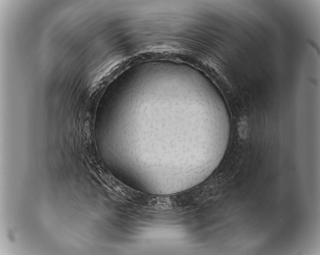 X0000100370968200806201624