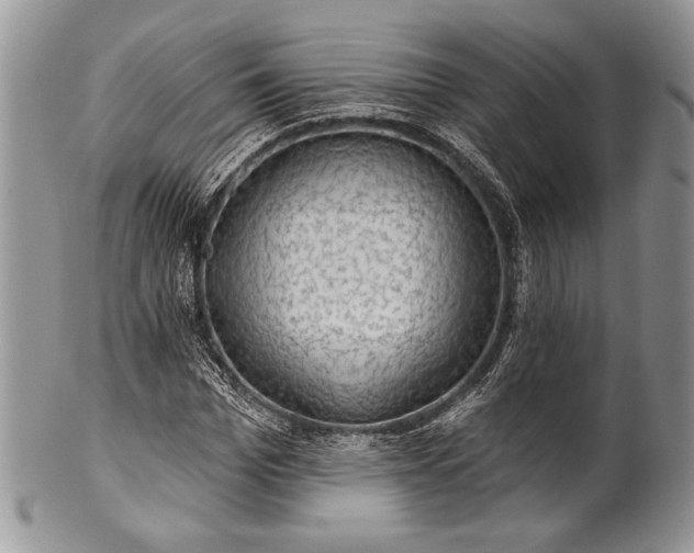 X0000100370969200806201623