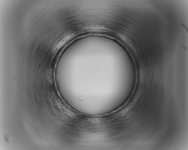 X0000100370970200806201623