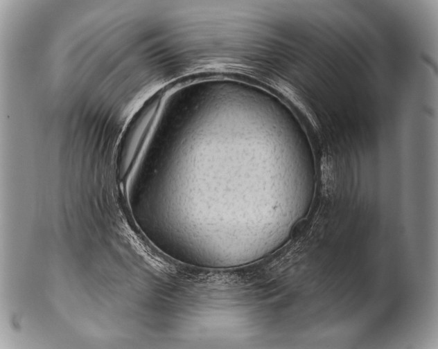 X0000100370972200806201623