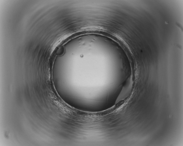 X0000100370973200806201623