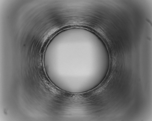 X0000100370974200806201623