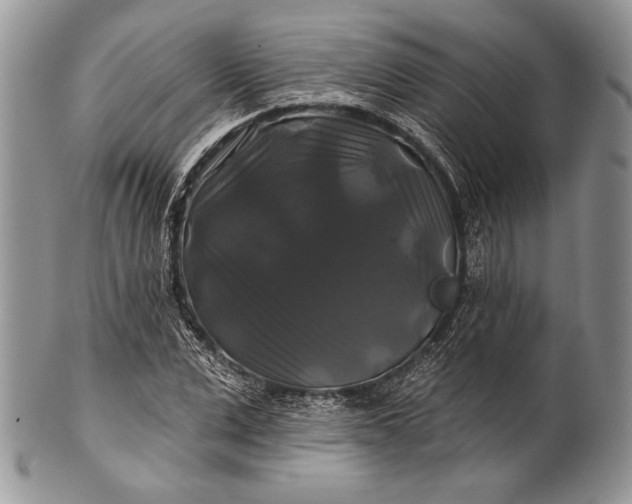 X0000100370975200806201623