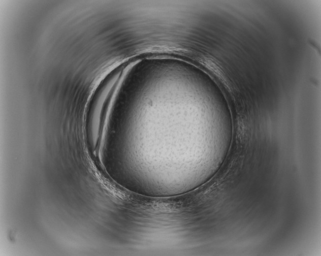 X0000100370976200806201623