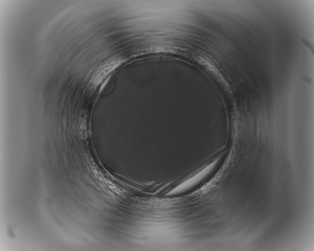 X0000100370977200806201623