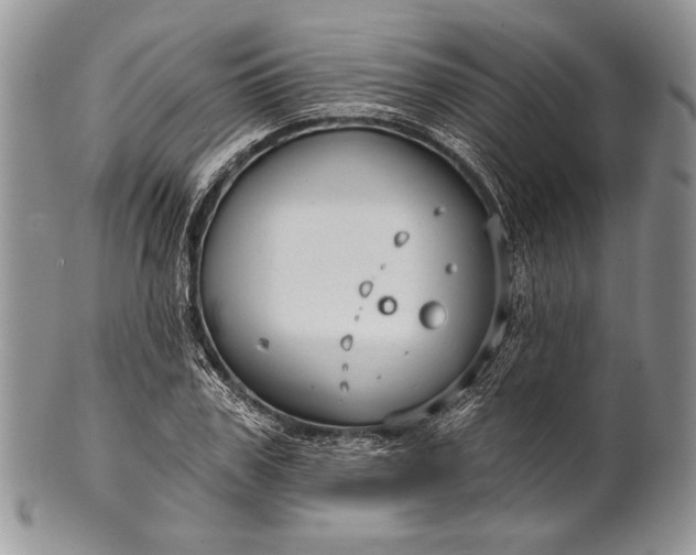 X0000100370979200806201623