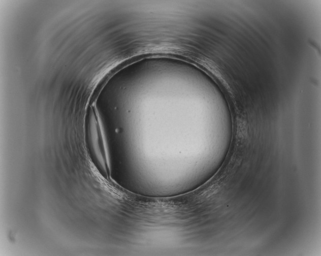 X0000100370980200806201623