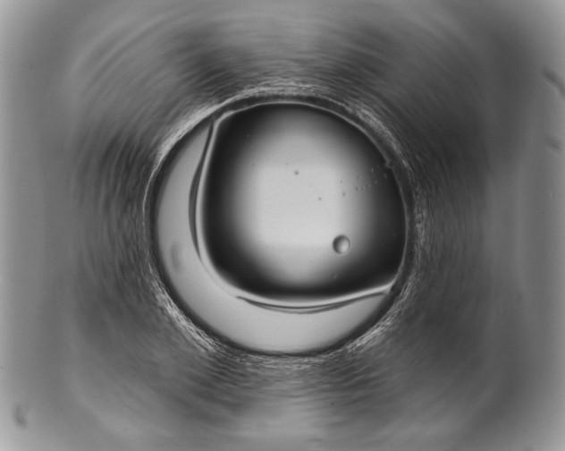 X0000100370981200806201623