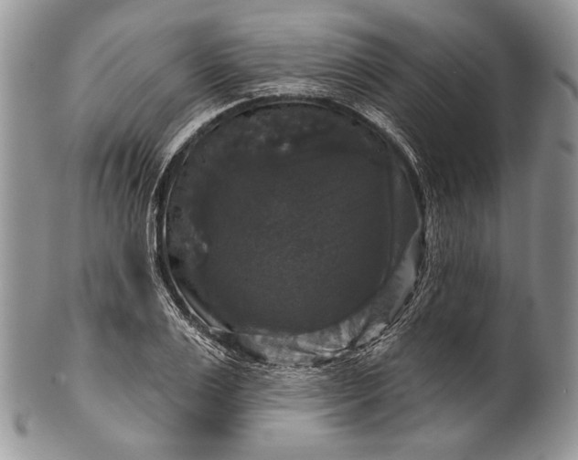 X0000100370983200806201623