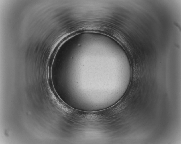 X0000100370984200806201623