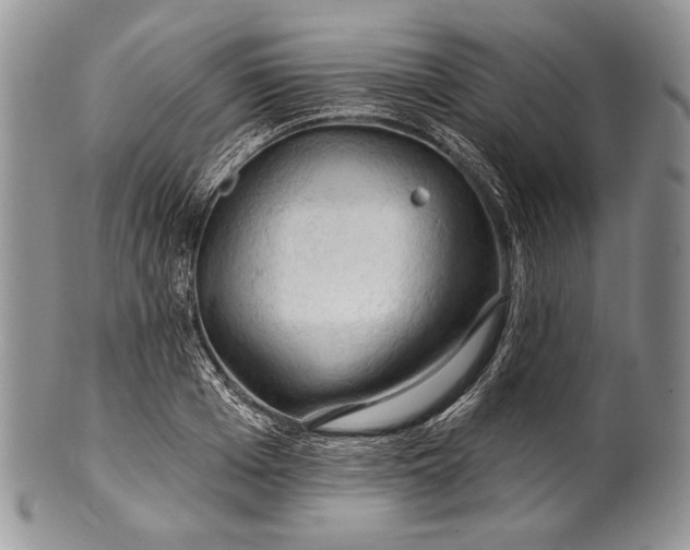 X0000100370985200806201623