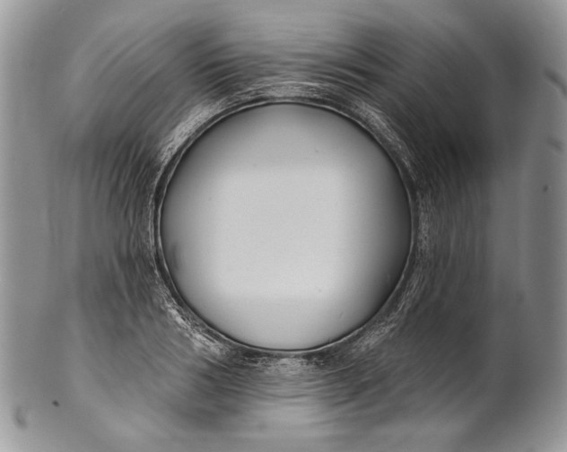 X0000100370986200806201623