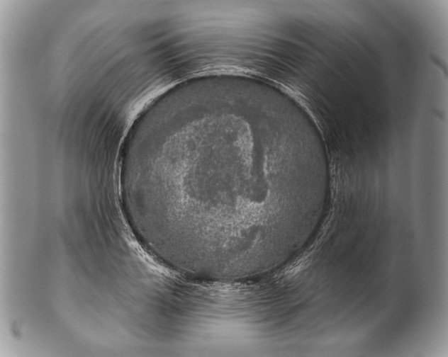 X0000100370987200806201623