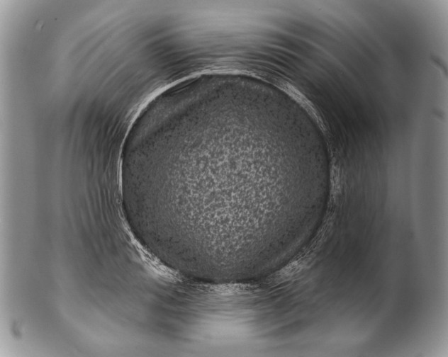 X0000100370988200806201623