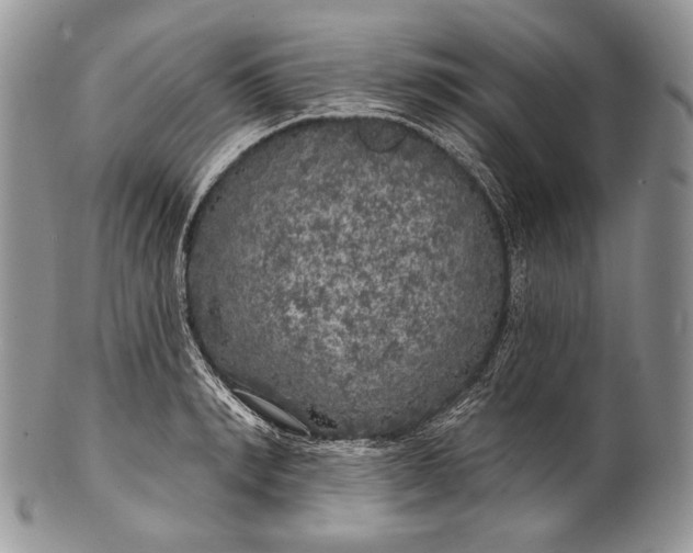 X0000100370990200806201623