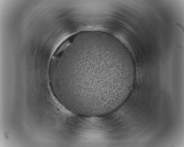 X0000100370992200806201623