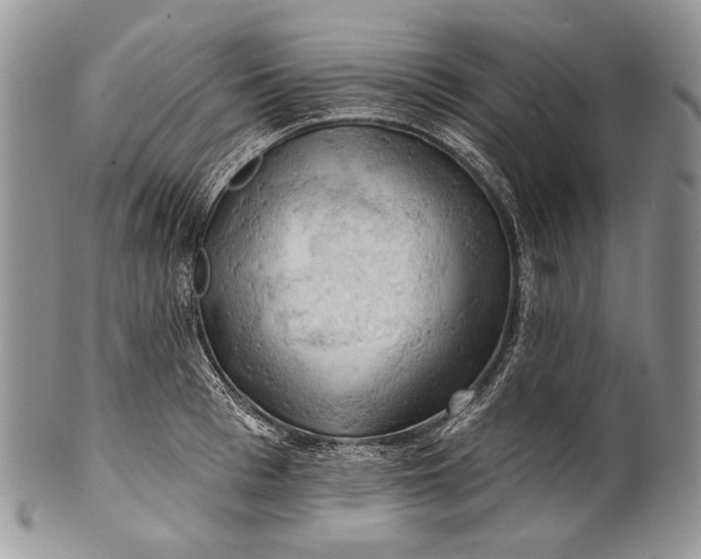 X0000100370993200806201623