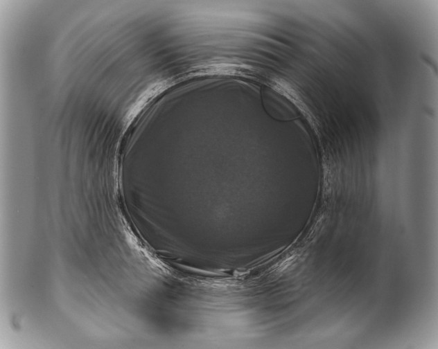 X0000100370994200806201623