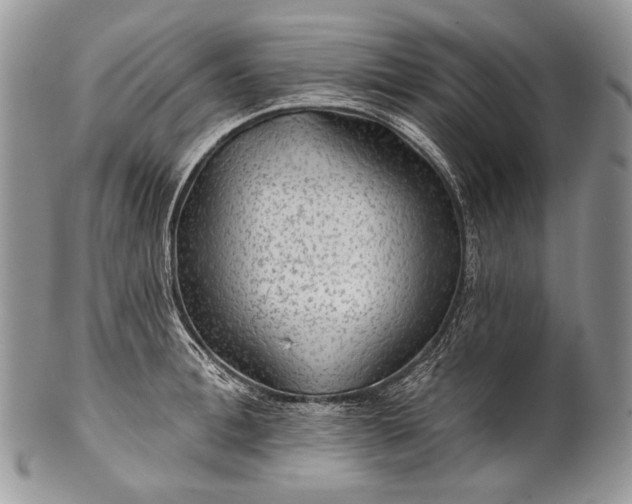 X0000100370996200806201623