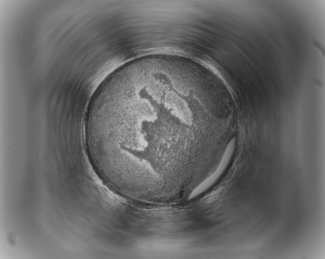 X0000100370999200806201623