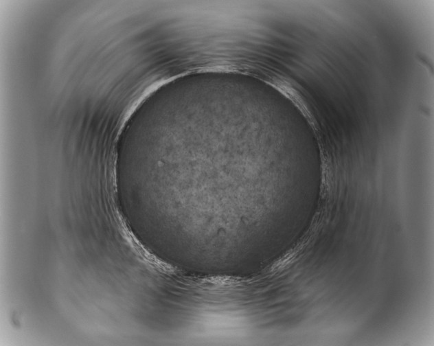 X0000100371000200806201623