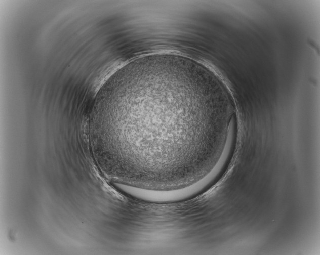 X0000100371001200806201623