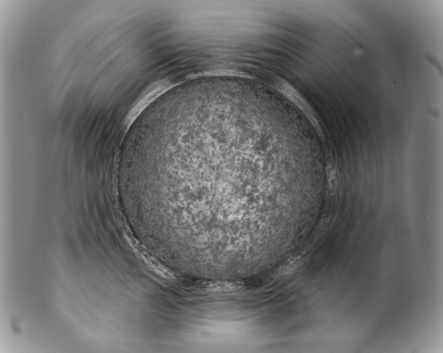 X0000100371002200806201623