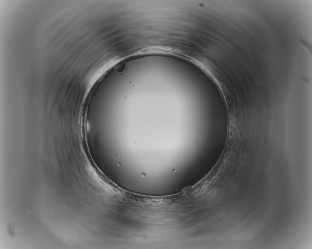 X0000100371003200806201623