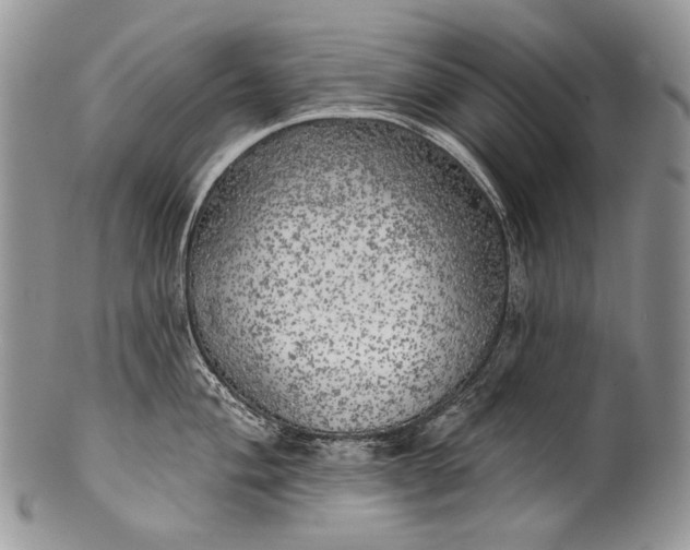 X0000100371004200806201623