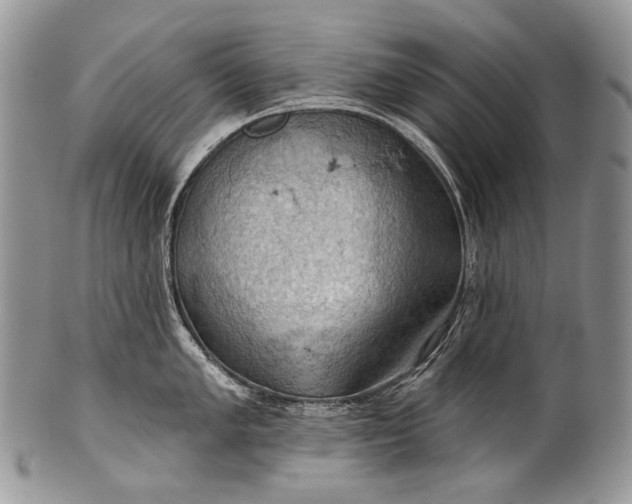 X0000100371005200806201623