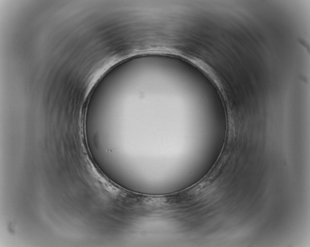 X0000100371006200806201623