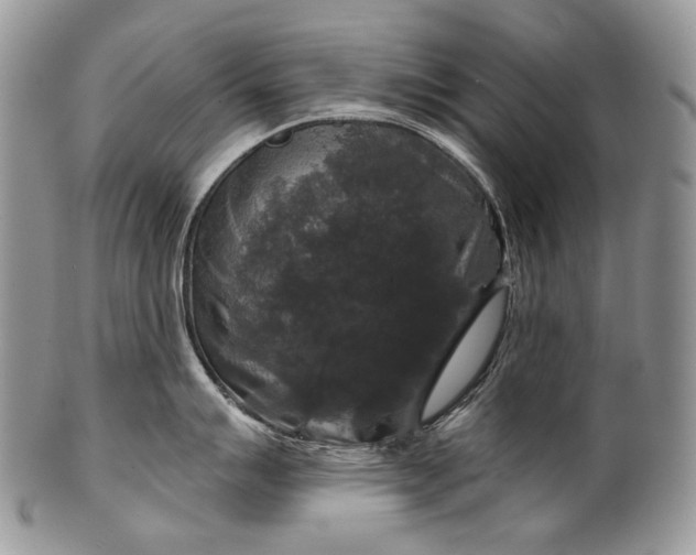 X0000100371007200806201623