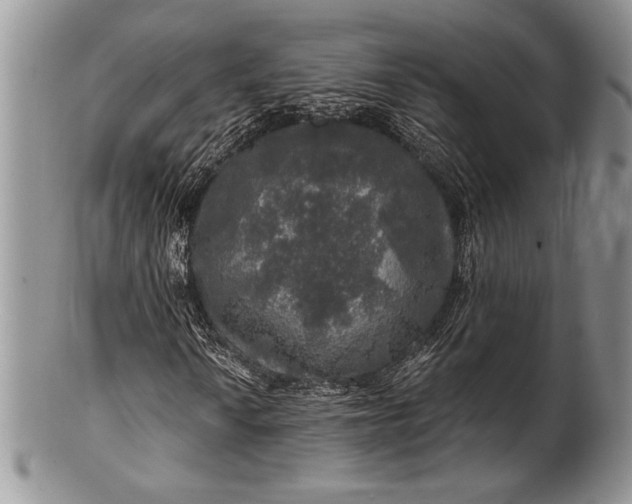 X0000100371010200806201622