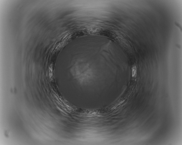 X0000100371011200806201622