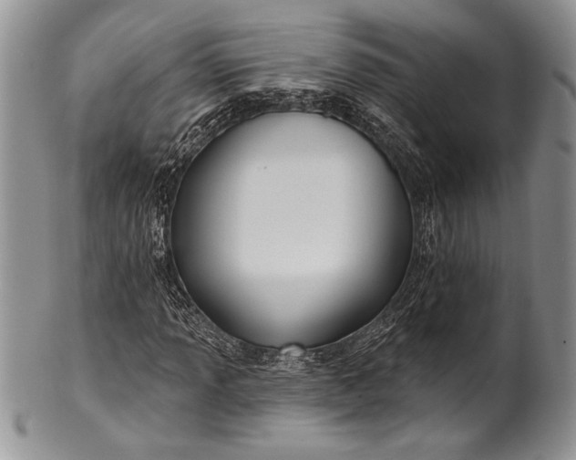 X0000100371013200806201622