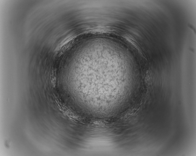 X0000100371015200806201622