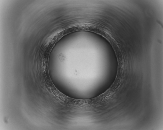 X0000100371016200806201622