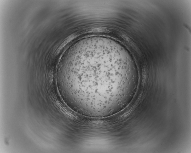 X0000100371017200806201622