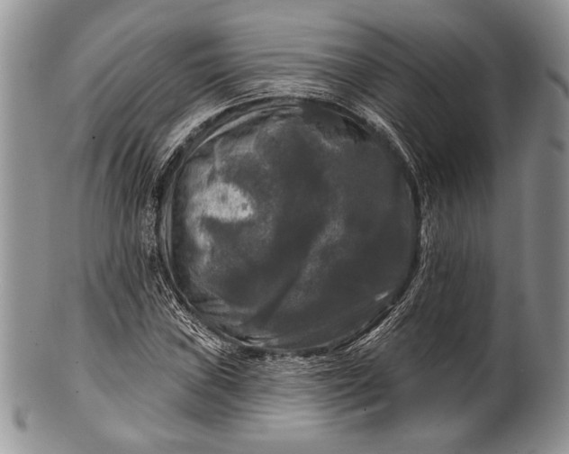 X0000100371019200806201622