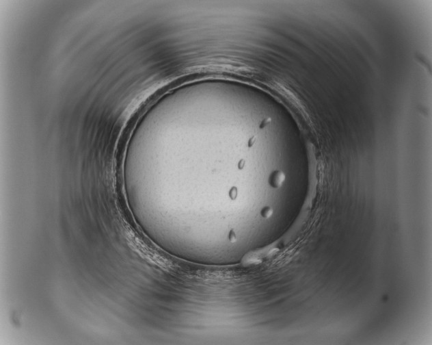 X0000100371020200806201622