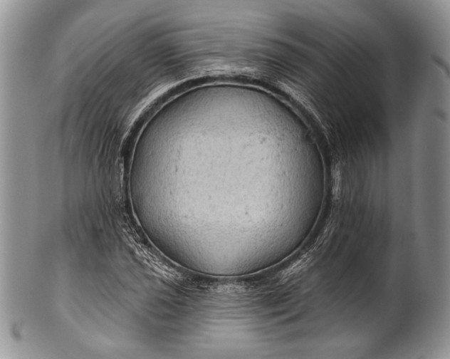 X0000100371021200806201622