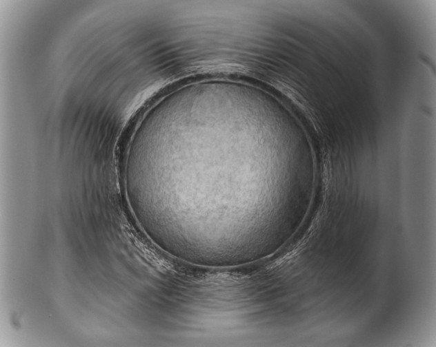 X0000100371022200806201622