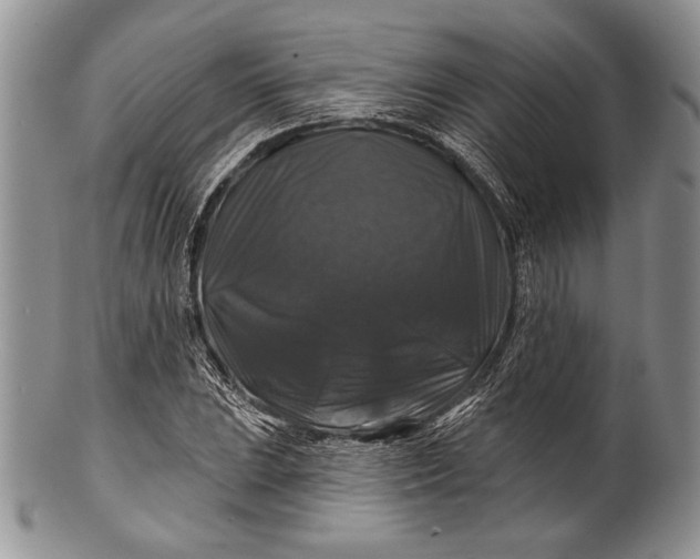 X0000100371023200806201622