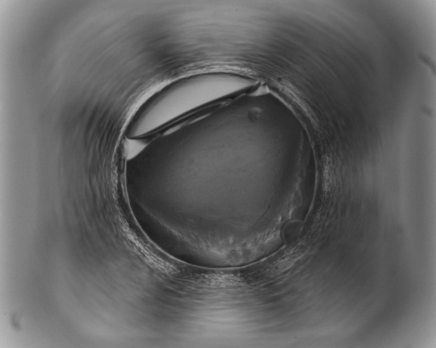 X0000100371024200806201622